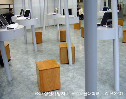 서울대학교